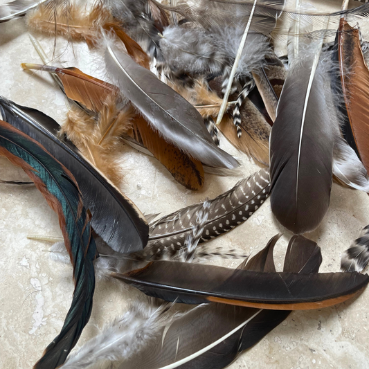 Mixed Bag of Chicken and Emu Feathers- All Natural, Craft Use
