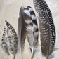 Mixed Bag of Chicken and Emu Feathers- All Natural, Craft Use