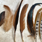 Mixed Bag of Chicken and Emu Feathers- All Natural, Craft Use