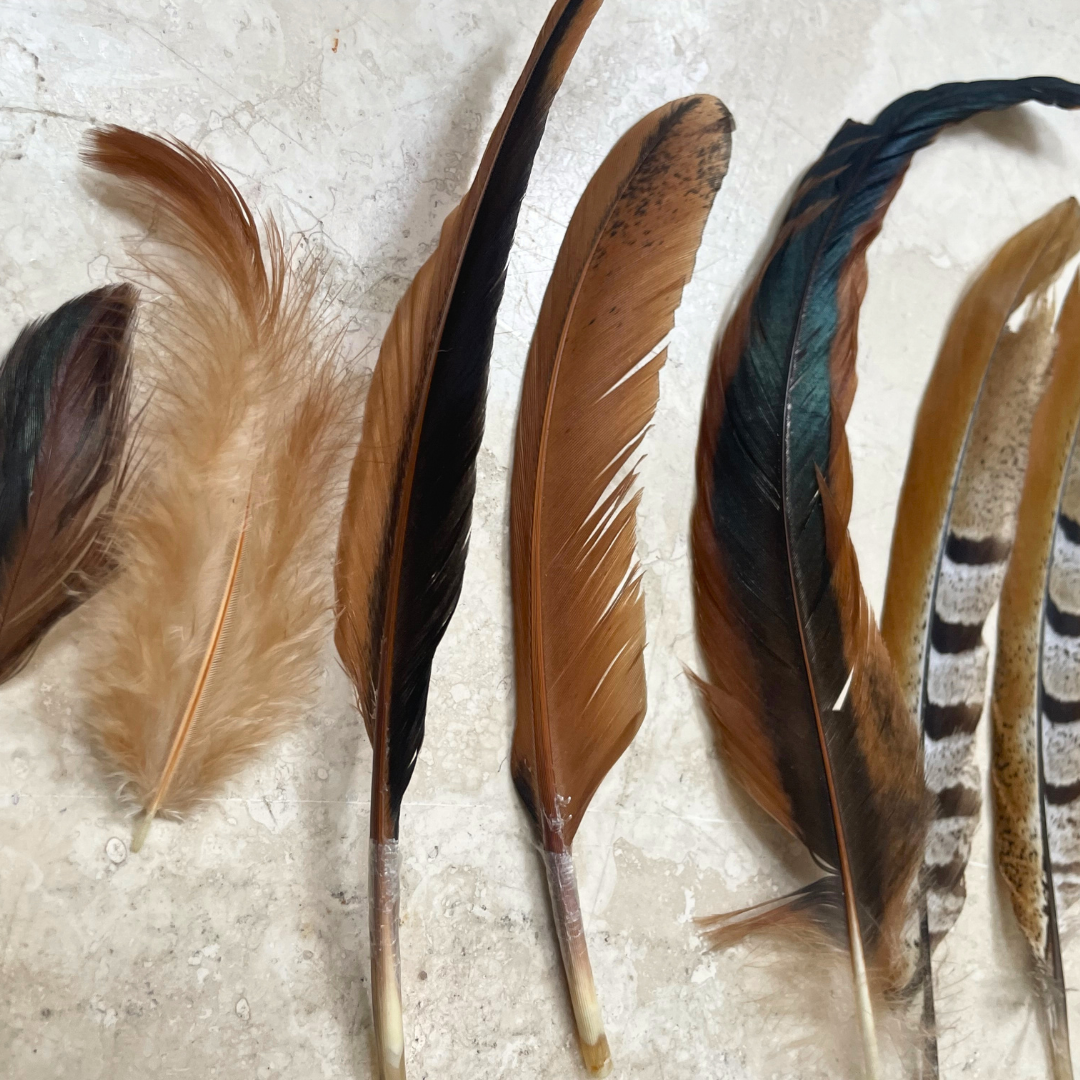 Mixed Bag of Chicken and Emu Feathers- All Natural, Craft Use