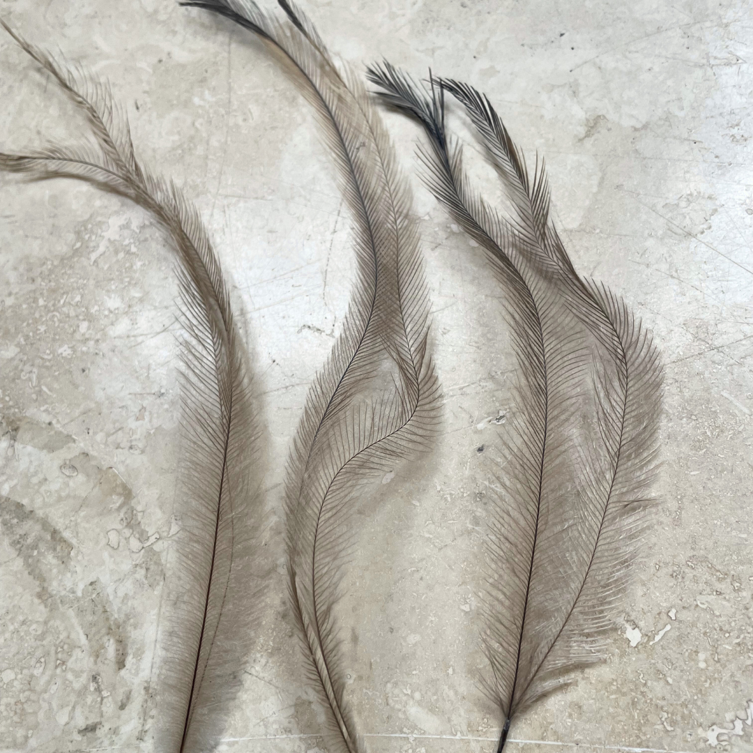 Mixed Bag of Chicken and Emu Feathers- All Natural, Craft Use