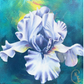 "Encouragement" | Original 10"x10" Mixed Media Painting, Floral, Iris