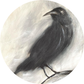 Black Crow | Artist-Designed Vinyl 2.5" Round Sticker