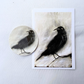 Black Crow | Artist-Designed Vinyl 2.5" Round Sticker