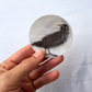 Black Crow | Artist-Designed Vinyl 2.5" Round Sticker