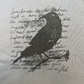 Gray Tank, Sleeveless Shirt with Crow Design