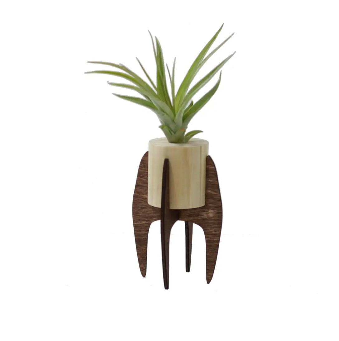 Mini Wooden Air Plant Stand