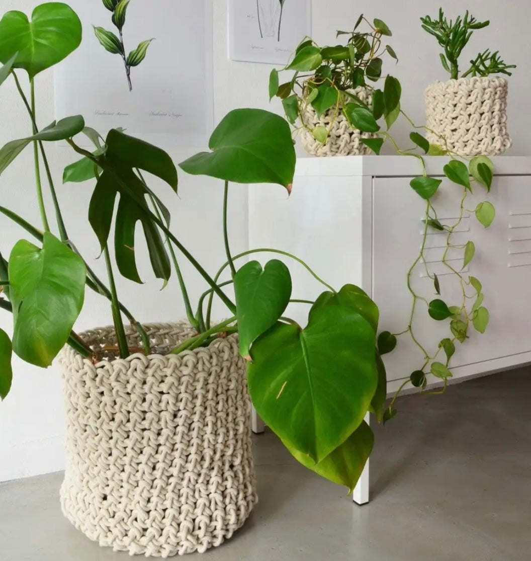 Ivory Braided Planter Cover/Storage Basket